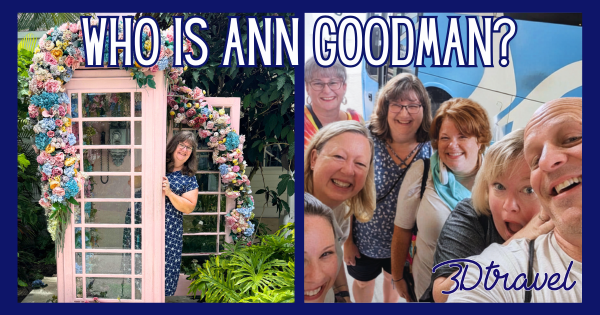 Who Is Ann Goodman?